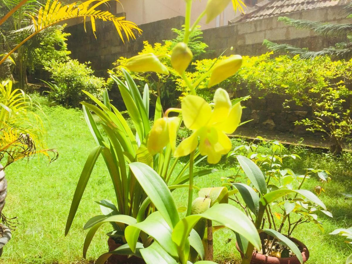 Ganesh House Ayurveda Homestay Kovalam Exterior foto